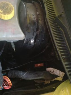 Audi A4 b6 2.5tdi 180 km - Nie kręci rozrusznik, pali bezpiecznik 40.