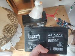 Osoba trzymająca akumulator marki megaBAT MB 7.2-12 na drewnianej półce z dekoracyjną lampą i figurką kaczki.