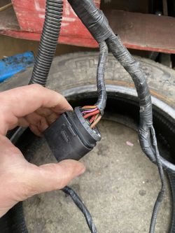 Schemat instalacji i ecu Audi A3 8P1 silnik BDB 3.2v6