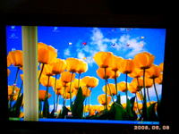 Monitor Lcd dziwny pionowy pas