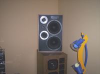 Jakie kolumny kupić? Jakie najlepsze?