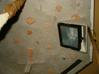 Zautomatyzowana komora dla roślin