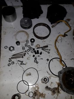 Vialle regeneracja pompy nowy typ łożysko standardowe.