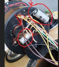 Altus 110 - przeskakiwanie dźwięku po regeneracji głośników i zwrotnic