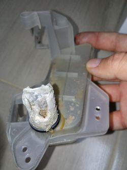 Polar PDT619 - Raz pobiera za dużo wody raz dobrze