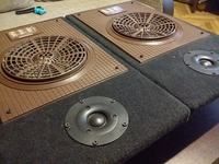 Radzieckie głośniki 2W w odsłonie OB - Open Baffle Radzieckie głośniki 2W w odsłonie OB - Open Baffle