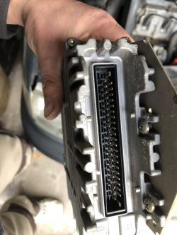 Passat B4 1.8 90km, falujące obroty: sterownik Bingo M, reduktor Lovatto, ustawienie TPS