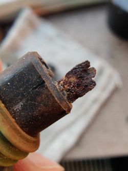 Gdzie znaleźć lampkę podświetlenia tablicy tył K12 Nissan Micra 1.4 04r?