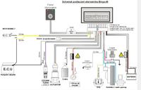 Laguna 1.8 '95 - KME bingo M, UKP-3, brak sygnału spalania na LPG
