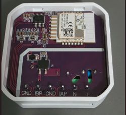 Electronic module with PCB and communication chip mounted in a white enclosure