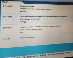 Zdjęcie ekranu z kodami błędów diagnostycznych samochodu.