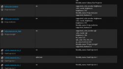 Screenshot of a user interface showing a list of light and switch devices with status and parameters.