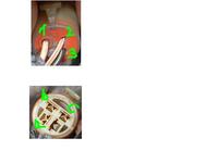 Wtyczka alternatora - Jak rozszyfrować wtyczkę alternatora?