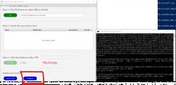 Screenshot showing the Flash Burn Tool with a BIN file open.