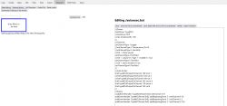 Editing interface for autoexec.bat file in a web application.