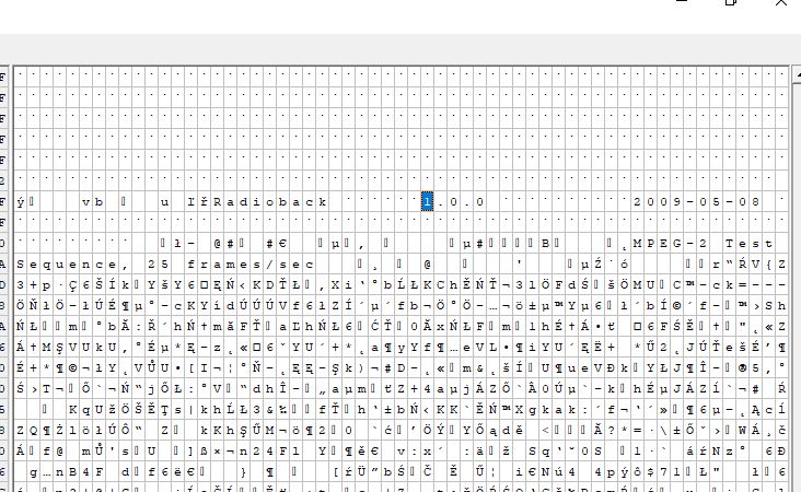 Hex editor view showing Radioback partition header highlighted in a data file.