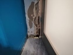 Moisture Issue under Floor & Socket Smell - Help with Door Frame, Skirting Boards & Damp Walls Moisture Issue under Floor & Socket Smell - Help with Door Frame, Skirting Boards & Damp Walls