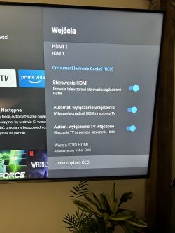 Problem z podłączeniem yamahy - Podłączenie TV do yamahy