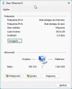 Zrzut ekranu z okna Stan: Ethernet 6 pokazujący dane połączenia sieciowego.