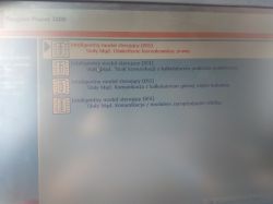 Peugeot 206 1.4 8v 2002 rok - Samochód nie zapala wariują światła i wycieraczki