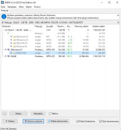Zrzut ekranu programu DMDE pokazujący strukturę partycji dysku 1 TB