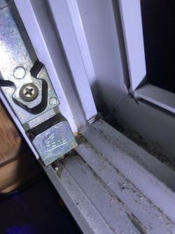 Zbliżenie na róg ramy okiennej z metalowym elementem oznaczonym napisem SIEGENIA.