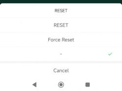 Android menu with reset options and Force Reset.
