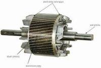 Squirrel cage motor - damaged rotor of the squirrel cage motor