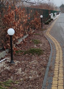 Czy zastosować RCD w przypadku plastikowych lamp II kl ochrony na osiedlu domów?