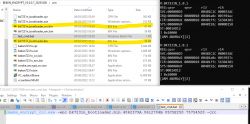 Screenshot of a folder with BIN files and a Notepad++ entry.