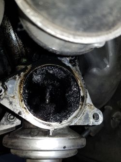 Golf V 1.9 tdi 105km from 2005 - Low car power, damaged EGR, low vacuum