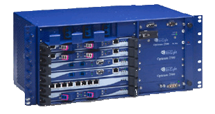 Ile użytkowników obsłuży ONT Optimate 1000NT w sieci GPON?