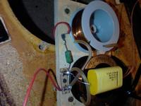 Kolumny tonsil ZG25C - odnowa