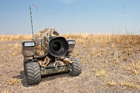 'BeetleCam' - mobilna platforma fotograficzna