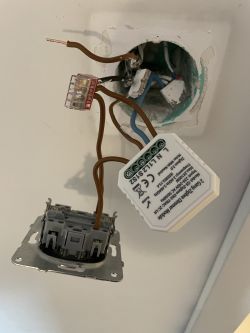 Connection of the QS-Zigbee-D02-TRIAC-2C-LN switch to the ceiling lamp and the Home Assistant Connection of the QS-Zigbee-D02-TRIAC-2C-LN switch to the ceiling lamp and the Home Assistant