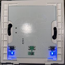 Problem to flash and work with Moes 2 gang wall switch(WIFI+RF433)