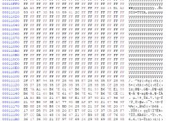 Flash memory dump in hexadecimal table form with signs of read errors.