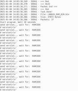 Screenshot showing debug logs from a file transfer process, with messages about task completion and waiting for RAMCODE.