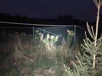 Przerwa w dostawie prądu przez partactwo - odszkodowanie