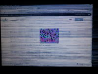 ASUS, PG221, kratki zamiast liter