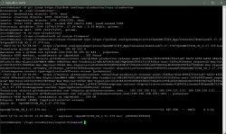 Linux Terminal with Firmware Download Process Linux terminal window with firmware download process.