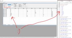 Screenshot of a program with a data table and debug results on the right side.