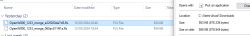 Screenshot showing two FLS files downloaded on a Windows computer.
