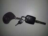 skoda/octavia 1/2002 - kodowanie pilota nie kluczyków po zmianie batrii