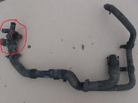 przewód chłodnicy berlingo 99r 1.9d