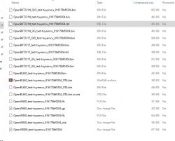 Screenshot showing a list of files in a folder with various extensions and sizes.