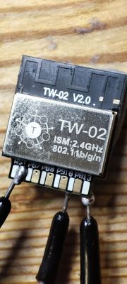 TW-02 Module with Soldered Wires TW-02 module with soldered wires