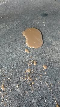 VW B5 automatic ... leaking - Passat B5 - leak from the chest