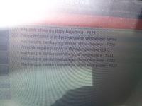 Volkswagen Passat B5 1998 - samoczynne otwieranie szyb i zamków, błędy systemu