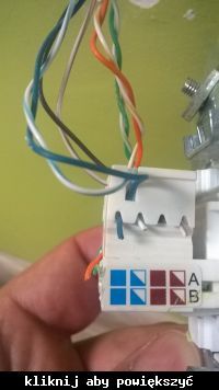 OSPEL LAN Socket: RJ45 Plug Connection to Router - Network Wiring in Rooms (A or B Standard)